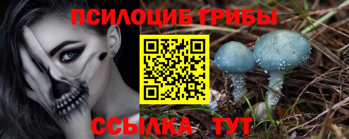 Псилоцибиновые грибы мухоморы  Псилоцибиновые грибы мухоморы  Саров  Вход с VPN 